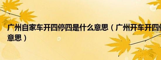 广州自家车开四停四是什么意思（广州开车开四停四是什么意思）