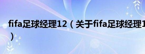 fifa足球经理12（关于fifa足球经理12的介绍）