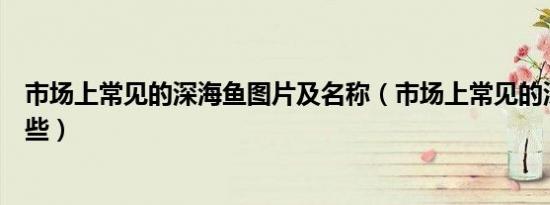 市场上常见的深海鱼图片及名称（市场上常见的深海鱼有哪些）