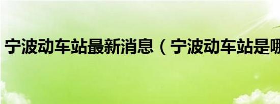 宁波动车站最新消息（宁波动车站是哪个站）