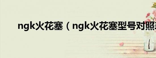 ngk火花塞（ngk火花塞型号对照表）
