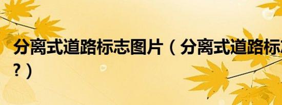 分离式道路标志图片（分离式道路标志是什么?）