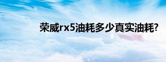 荣威rx5油耗多少真实油耗?