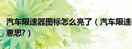 汽车限速器图标怎么亮了（汽车限速器是什么意思?）