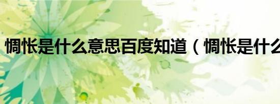 惆怅是什么意思百度知道（惆怅是什么意思）