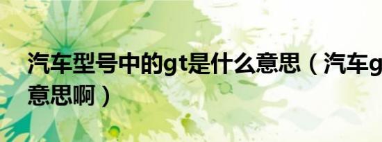 汽车型号中的gt是什么意思（汽车gt是什么意思啊）