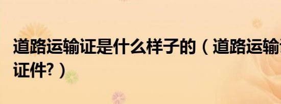 道路运输证是什么样子的（道路运输证是什么证件?）