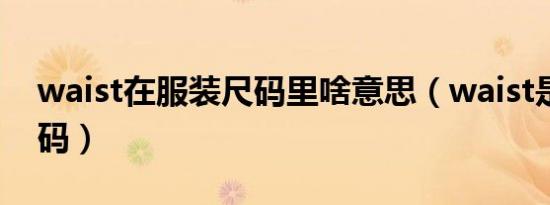 waist在服装尺码里啥意思（waist是什么尺码）