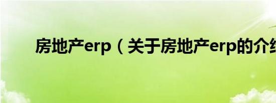 房地产erp（关于房地产erp的介绍）