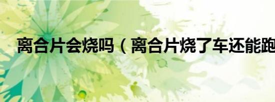 离合片会烧吗（离合片烧了车还能跑吗?）