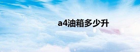 a4油箱多少升