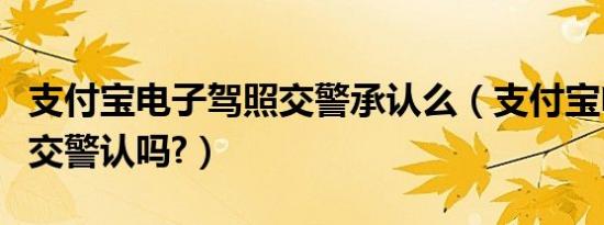 支付宝电子驾照交警承认么（支付宝电子驾照交警认吗?）