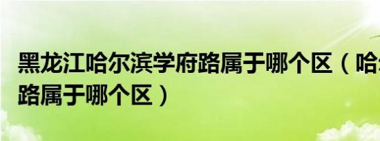 黑龙江哈尔滨学府路属于哪个区（哈尔滨学府路属于哪个区）
