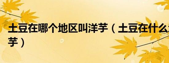 土豆在哪个地区叫洋芋（土豆在什么地方叫洋芋）