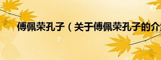 傅佩荣孔子（关于傅佩荣孔子的介绍）