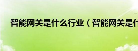 智能网关是什么行业（智能网关是什么）