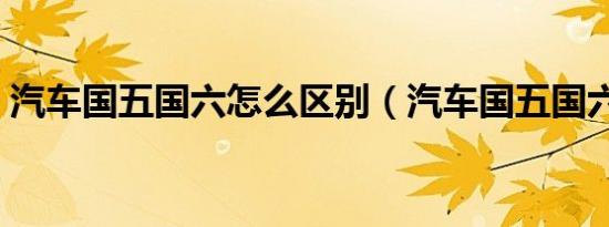 汽车国五国六怎么区别（汽车国五国六标志）