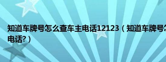 知道车牌号怎么查车主电话12123（知道车牌号怎么查车主电话?）