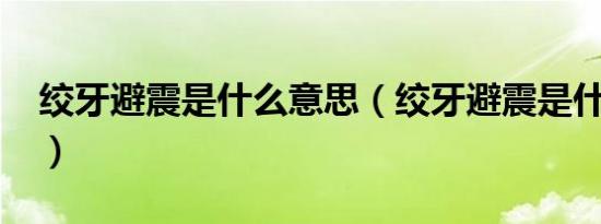 绞牙避震是什么意思（绞牙避震是什么意思?）