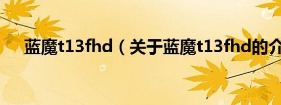 蓝魔t13fhd（关于蓝魔t13fhd的介绍）