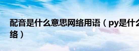 配音是什么意思网络用语（py是什么意思网络）