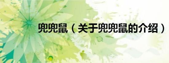 兜兜鼠（关于兜兜鼠的介绍）