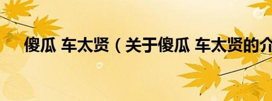 傻瓜 车太贤（关于傻瓜 车太贤的介绍）