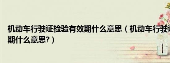 机动车行驶证检验有效期什么意思（机动车行驶证检验有效期什么意思?）