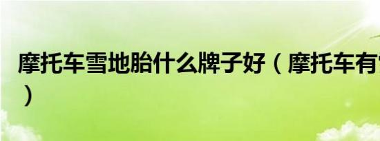 摩托车雪地胎什么牌子好（摩托车有雪地胎么）