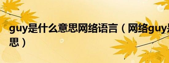 guy是什么意思网络语言（网络guy是什么意思）