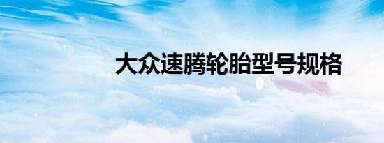 大众速腾轮胎型号规格