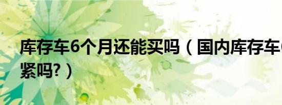 库存车6个月还能买吗（国内库存车6个月要紧吗?）