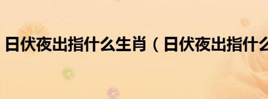 日伏夜出指什么生肖（日伏夜出指什么生肖）