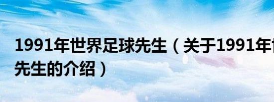 1991年世界足球先生（关于1991年世界足球先生的介绍）