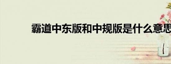 霸道中东版和中规版是什么意思