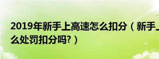 2019年新手上高速怎么扣分（新手上高速怎么处罚扣分吗?）