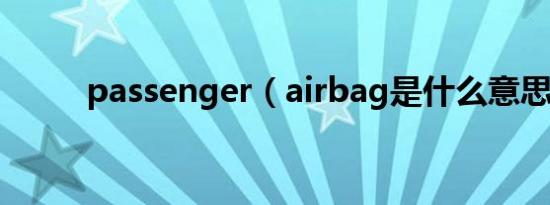 passenger（airbag是什么意思）