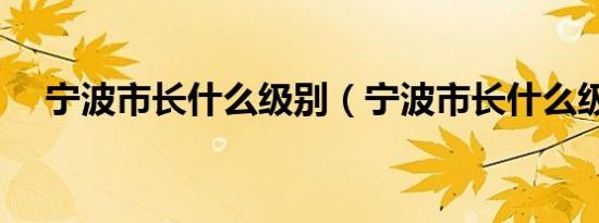 宁波市长什么级别（宁波市长什么级别）