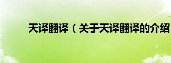 天译翻译（关于天译翻译的介绍）