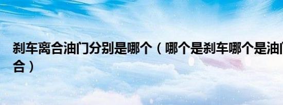 刹车离合油门分别是哪个（哪个是刹车哪个是油门哪个是离合）