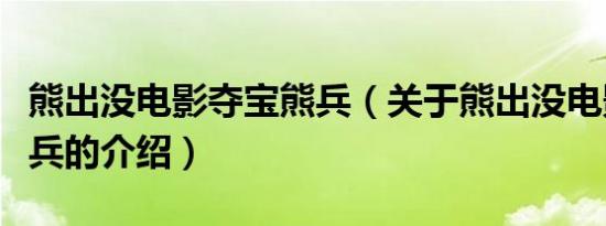 熊出没电影夺宝熊兵（关于熊出没电影夺宝熊兵的介绍）