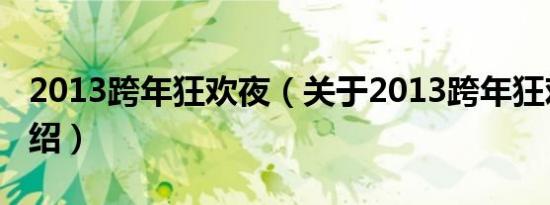 2013跨年狂欢夜（关于2013跨年狂欢夜的介绍）