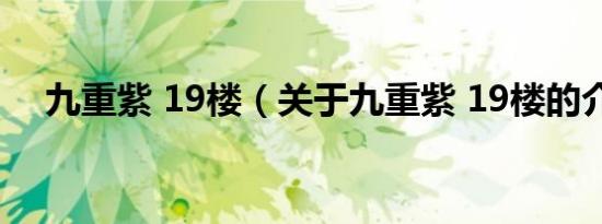九重紫 19楼（关于九重紫 19楼的介绍）