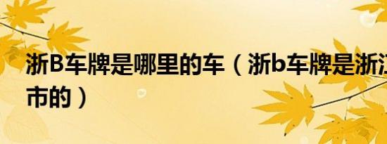 浙B车牌是哪里的车（浙b车牌是浙江哪一个市的）