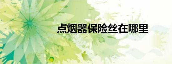 点烟器保险丝在哪里