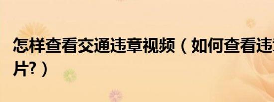 怎样查看交通违章视频（如何查看违章记录照片?）