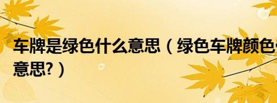 车牌是绿色什么意思（绿色车牌颜色代表什么意思?）
