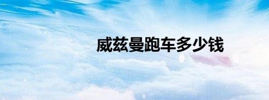 威兹曼跑车多少钱