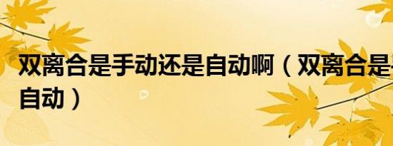 双离合是手动还是自动啊（双离合是手动还是自动）