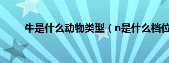 牛是什么动物类型（n是什么档位）